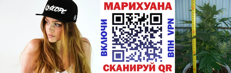 Бошки марихуана планчик  Купить где  Ленск 